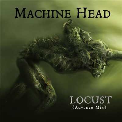 シングル/Locust (Advance Mix)/Machine Head