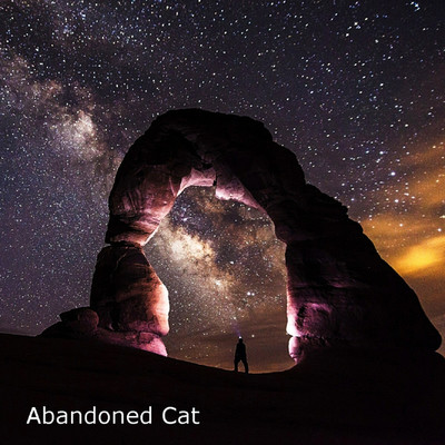 Stars/Abandoned Cat