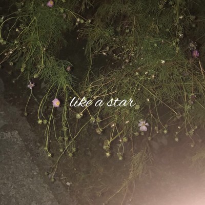シングル/Like a star/Stain hung over