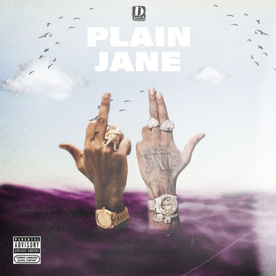 Plain Jane (Explicit)/D-Block Europe