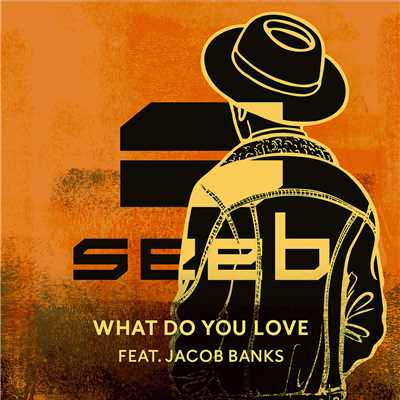 What Do You Love (featuring Jacob Banks)/Seeb