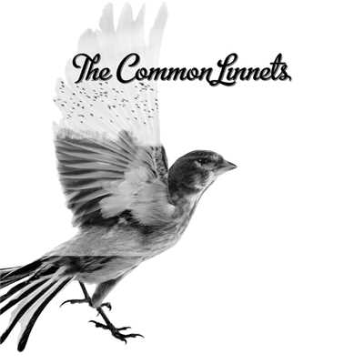 Love Goes On/The Common Linnets
