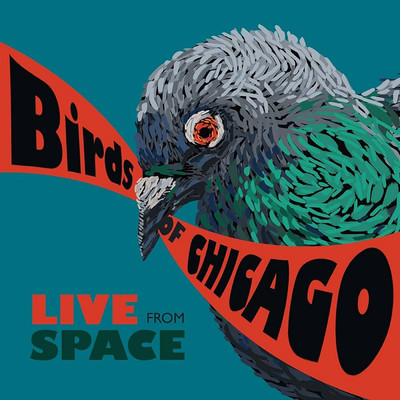 Live From Space (Evanston, Illinois ／ June 28, 2013)/Birds Of Chicago／アリソン・ラッセル／JT Nero
