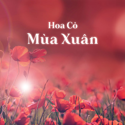 Hoa Co Mua Xuan/Phuong Nhi