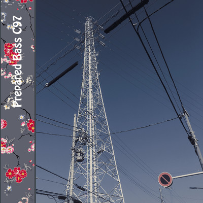 Zypressen/Aoki Satoru feat. Rie Nakano