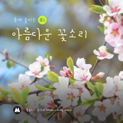 A beautiful flower sound in spring #1/Flower Viewing alone