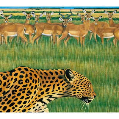 アルバム/zoo/Fantastic Plastic Machine