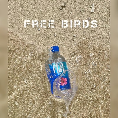 FREE BIRDS/H@sh