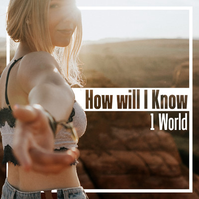 シングル/How will I Know/1 World