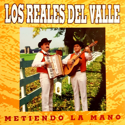 シングル/No Meta La Mano/Los Reales Del Valle