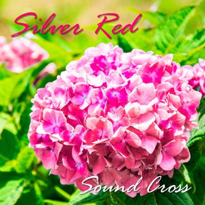 Silver Red/Sound Cross