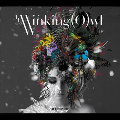 シングル/Walk/The Winking Owl