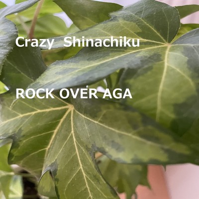 ROCK OVER AGA/Crazy Shinachiku