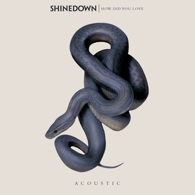 How Did You Love/Shinedown