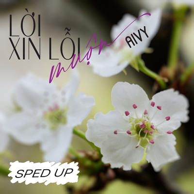 Loi Xin Loi Muon (Sped Up)/Aivy