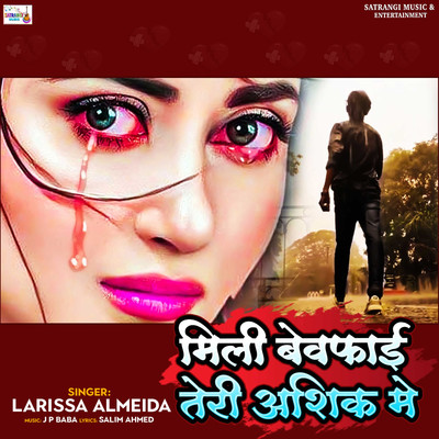 Mili Bewafai Teri Aashiq Me/Larissa Almeida