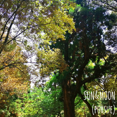 アルバム/SUN&MOON (pursue)/KENGO HONDA