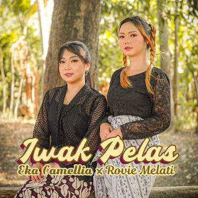 IWAK PELAS (Versi Koplo Jawa)/Eka Camellia／Rovie Melati