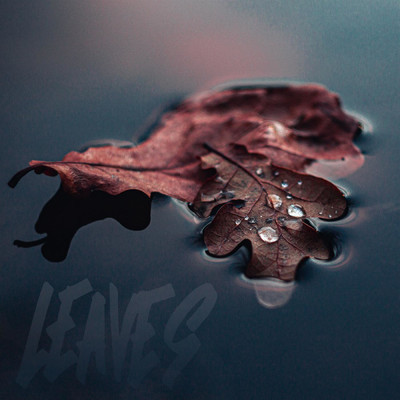 アルバム/Leaves/Kamil Vales