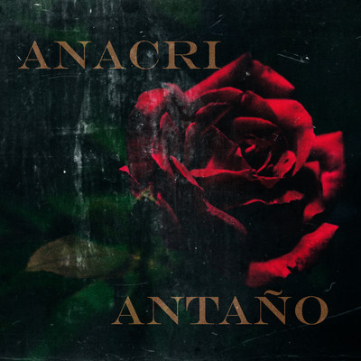 シングル/Antano/Anacri