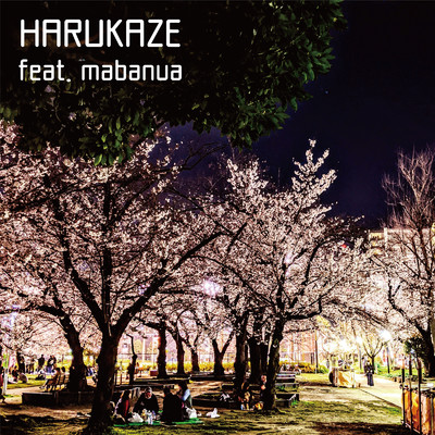 シングル/HARUKAZE (feat. mabanua)/高橋飛夢