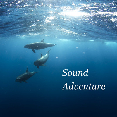 アルバム/Sound Adventure/Various Artsits