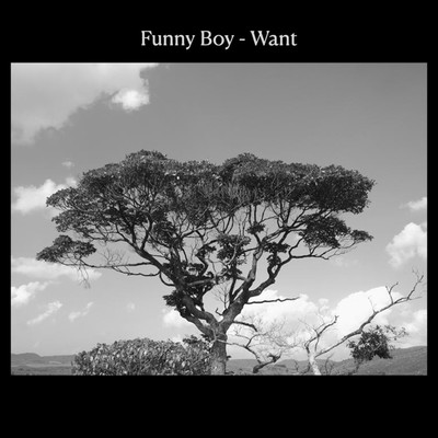 Want/FunnyBoy