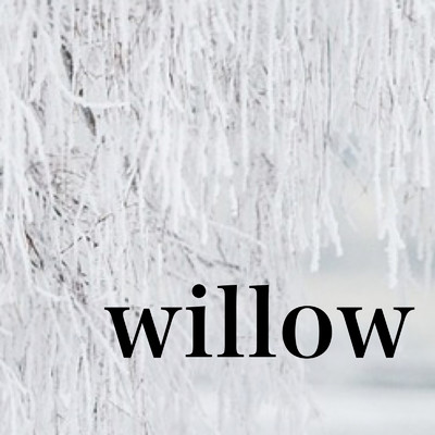 Willow/SHINO