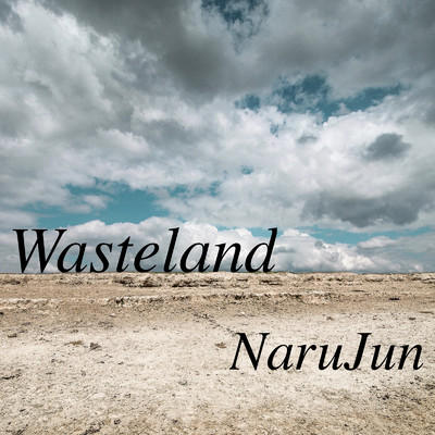 アルバム/Wasteland/NaruJun
