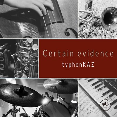 アルバム/Certain evidence/typhonKAZ