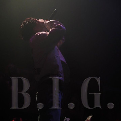 B.I.G./BIGWILL