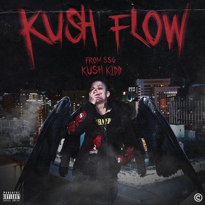 KUSH FLOW/Kush Kidd