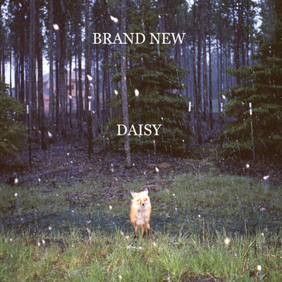 アルバム/Daisy/BRAND NEW