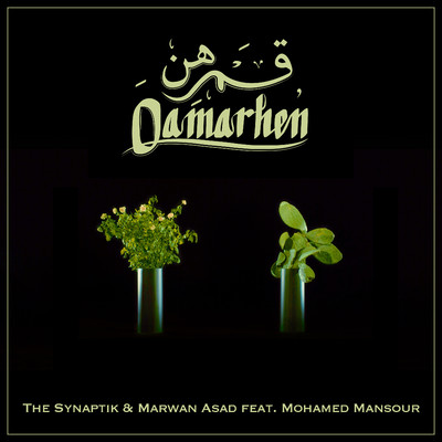 Qamarhen (feat. Mohamed Mansour)/The Synaptik & Marwan Asad