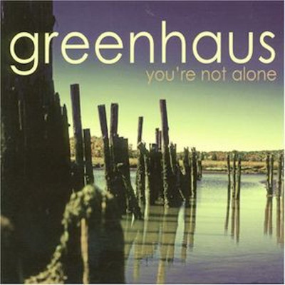 シングル/Not In My Name/Greenhaus