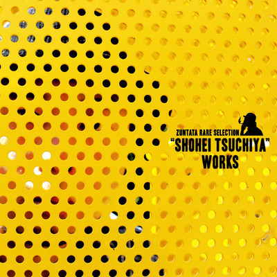 ZUNTATA RARE SELECTION ”SHOHEI TSUCHIYA” WORKS/土屋昇平(ZUNTATA)