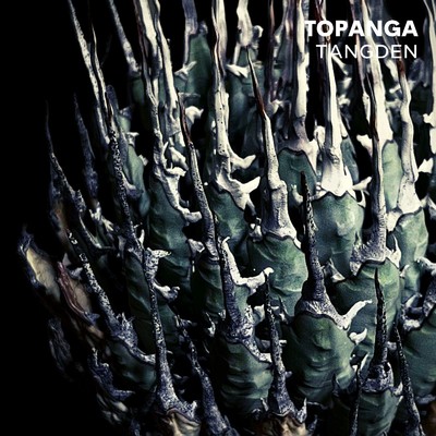 アルバム/TOPANGA/TANGDEN