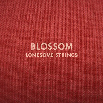 アルバム/BLOSSOM/LONESOME STRINGS