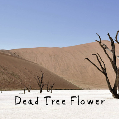 アルバム/Dead Tree Flower/PLAYLAND 0