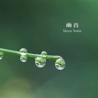 シングル/雨音/Moon Notes