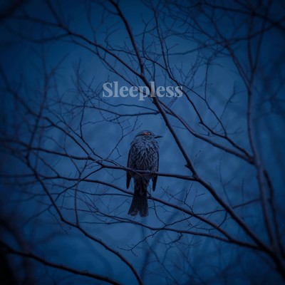 Sleepless/善岡慧一