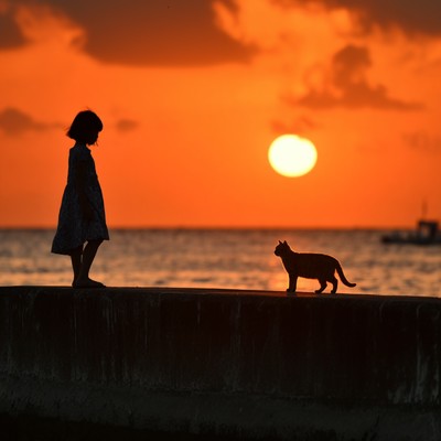 シングル/Neko to Girl/BiG sea Music