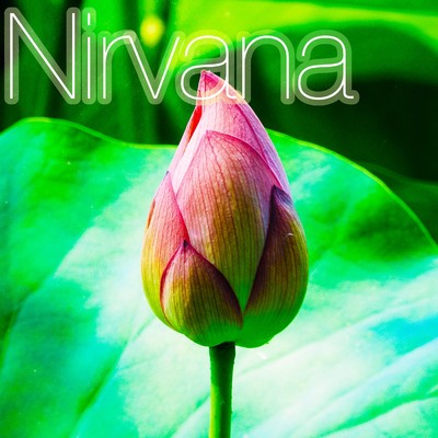 アルバム/涅槃-Nirvana-ハープ・シンギングボール・尺八の瞑想・ヒーリングミュージック/寧