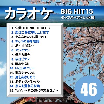 アルバム/カラオケ BIG HIT 15 ポップスベストヒット編 46/CTA カラオケ