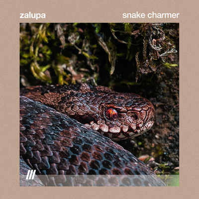 シングル/Snake Charmer/Zalupa