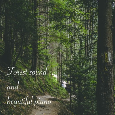 Forest sound and beautiful piano/ALL BGM CHANNEL & Sound Forest