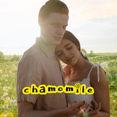 シングル/chamomile/COCONUT