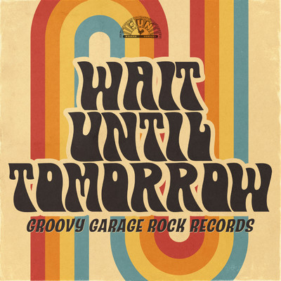 Wait Until Tomorrow: Groovy Garage Rock Records/Various Artists