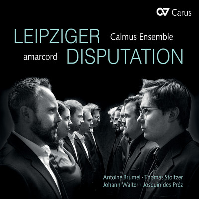 シングル/Stoltzer: Herr, wie lang willt du mein so gar vergessen/Calmus Ensemble