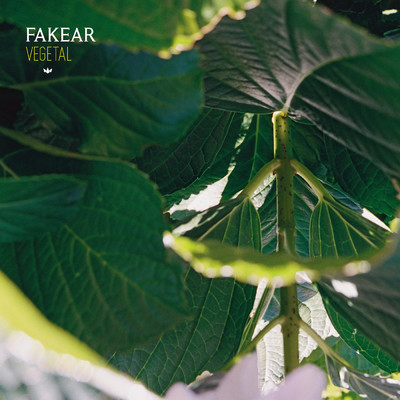 アルバム/Vegetal/Fakear